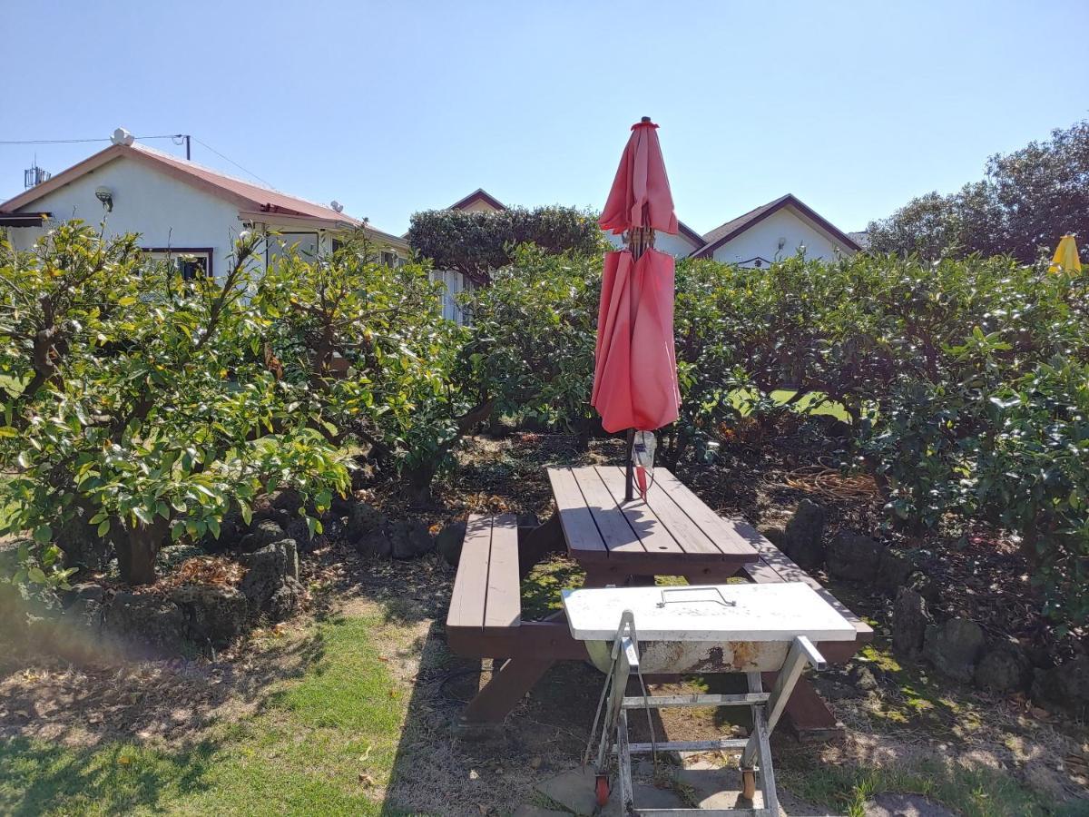 Gyulhouse Pension Seogwipo-stad Buitenkant foto